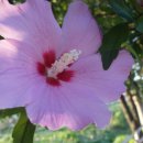 정읍중학교 이미지