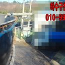 화성양돈 이미지