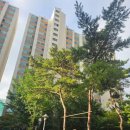 신각길1 이미지