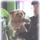 금쪽같은 내새끼 동물병원 이미지