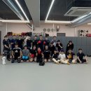 팀나인 주짓수,레슬링 | 청주 주짓수, 팀매드 청주에서 경험한 멋진 수업!