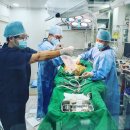 도하동물병원 이미지