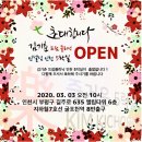 인셀덤인천 - 부평구 경원대로1367번길 15 | 인셀덤인천