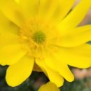 안산미소농장