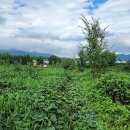 이성찬농장 이미지