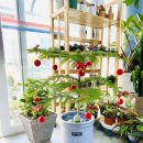 수경꽃집 이미지