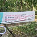 태학산자연휴양림오토캠핑장 | [캠핑] 숲속에서 편안하게 / 천안태학산자연휴양림 오토캠핑장(B10사이트)