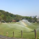 123골프클럽