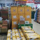 뉴질랜드 한국전 참 이미지