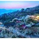 청현천 티스토리