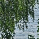 여의동로7길 이미지