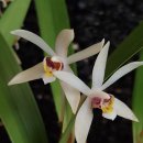 제네농장 이미지