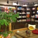 동물병원루니 이미지