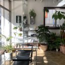 플랜테리어 | [아산] 그루집 GROOZIP : 권곡동 플랜테리어 카페 아쫀쿠 후기