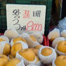 청춘청과이수점