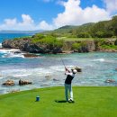 OK 골프클럽 이미지