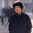 보이쉬 이미지