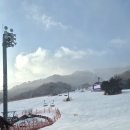 무주읍185 이미지