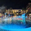 한림의료기 | 3박4일 제주도 여행(1of2), 한림에서 서귀포 코스 (협재해수욕장, 카멜리아힐, 코이노니아펜션...