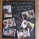 신비의사랑