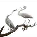 멍돌이와 멍순이 이미지