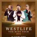 2024년 11월 공연 이미지