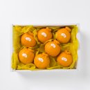 수복농장 이미지