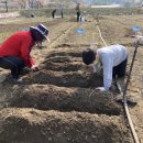 소농농장 이미지