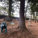 서귀포초등학교 병설유치원 이미지