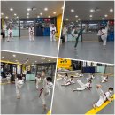 서부태권도 교육관 이미지