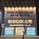 펫 파라다이스 동물병원 이미지