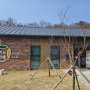 충주유기농체험교육센터 | 충주 유기농 체험 교육센터에 있는 유기농 카페에 냉동 블루베리 배달
