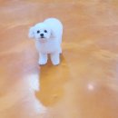 엔조이펫 이미지