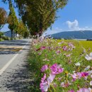 건강 댄스&요가 이미지