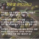 로얄트리 | 올리브 오일 요리추천 🫒 쿠팡템(로얄트리 스페인 올리브유 1+1) 후기
