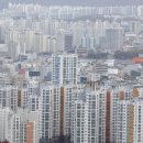 대전 2827 대전일보