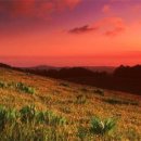 그대발길머무는곳에 이미지