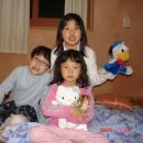 만산수목원 Daum카페