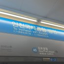 해피다이버스 | 말라파스쿠아 스쿠버다이빙 여행(2) : 말라파스쿠아 다이빙샵, 마사지받기, 맛집 추천