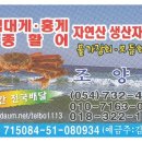 조양수산 이미지