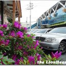 대중국밥 이미지