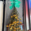 을지로3가맛집 경일옥 핏제리아 위치.가격.시간.후기