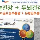 (주)테라진코리아 이미지