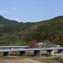 대황강 출렁다리 화장실 이미지