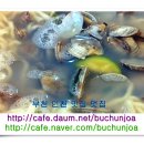 청정바지락생칼국수 이미지