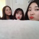 아영이네 이미지