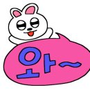 씨오(Sea:O)