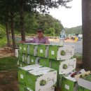 자연농장 이미지