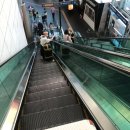 백화원리조트 | [위피스쿨 9기] 1. 수업 시작 전까지 이야기