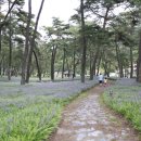 상오리 마을회관 이미지